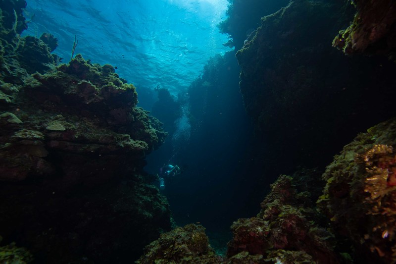 850_5026.jpg