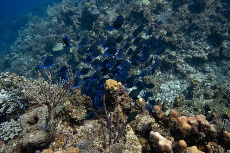 850_6773.jpg