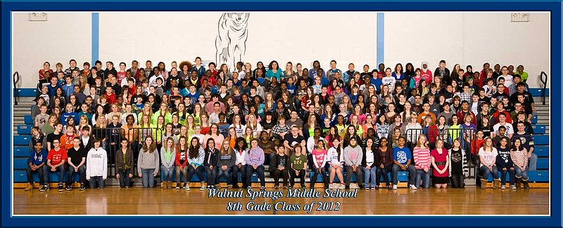 WalnutSprings_8th-2012_Form.jpg