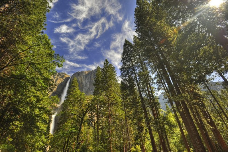 GBL-CA-10.jpg :: Yosemite National Park