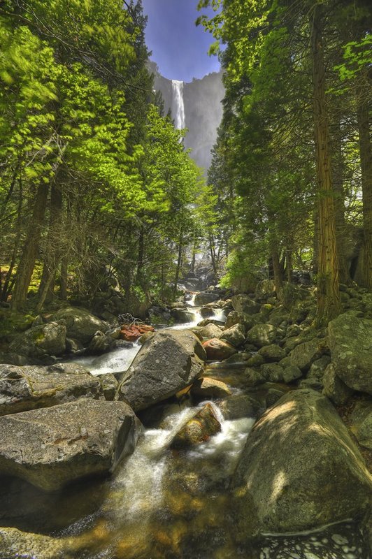 GBL-CA-2.jpg :: Yosemite National Park