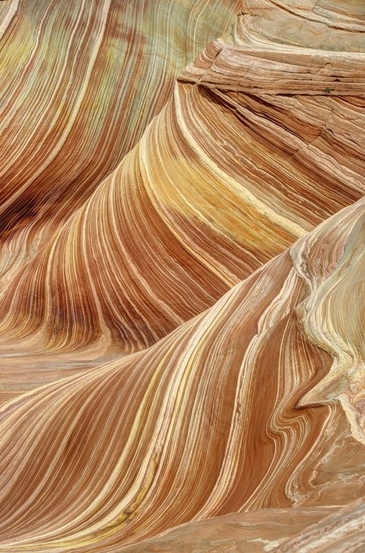 GBL-WAVE-18.jpg :: The Wave. Paria Canyon-Vermilion Cliffs Wilderness. Northern Arizona - Southern Utah. 
The Wave. Paria Canyon-Vermilion Cliffs Wilderness. Northern Arizona - Southern Utah. 
The Wave. Paria Canyon-Vermilion Cliffs Wilderness. Northern Arizona - Southern Utah. 
The Wave. Paria Canyon-Vermilion Cliffs Wilderness. Northern Arizona - Southern Utah.