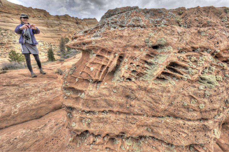 GBL-WAVE-26.jpg :: The Wave. Paria Canyon-Vermilion Cliffs Wilderness. Northern Arizona - Southern Utah. 
The Wave. Paria Canyon-Vermilion Cliffs Wilderness. Northern Arizona - Southern Utah. 
The Wave. Paria Canyon-Vermilion Cliffs Wilderness. Northern Arizona - Southern Utah. 
The Wave. Paria Canyon-Vermilion Cliffs Wilderness. Northern Arizona - Southern Utah.