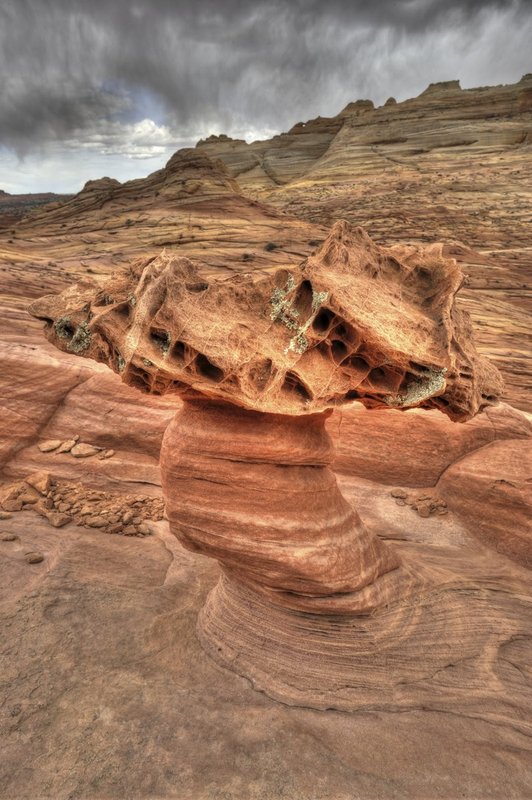 GBL-WAVE-33.jpg :: The Wave. Paria Canyon-Vermilion Cliffs Wilderness. Northern Arizona - Southern Utah. 
The Wave. Paria Canyon-Vermilion Cliffs Wilderness. Northern Arizona - Southern Utah. 
The Wave. Paria Canyon-Vermilion Cliffs Wilderness. Northern Arizona - Southern Utah. 
The Wave. Paria Canyon-Vermilion Cliffs Wilderness. Northern Arizona - Southern Utah.
