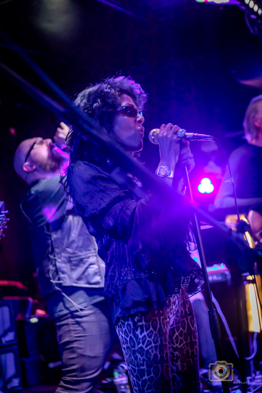 WEB Photo UK Photography 60  November 07 2025.jpg