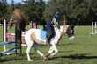 BPC_06_26_0007.jpg