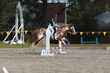 LPC_SJD_25_0482.jpg
