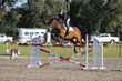 LPC_SJD_25_2531.jpg