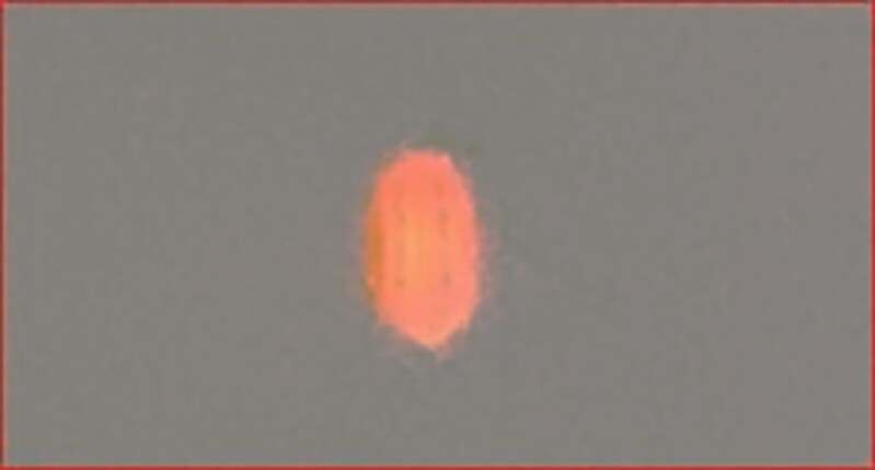 -12-20-20 UNION PAKRK FLORIDA--FACE BOOK.jpg