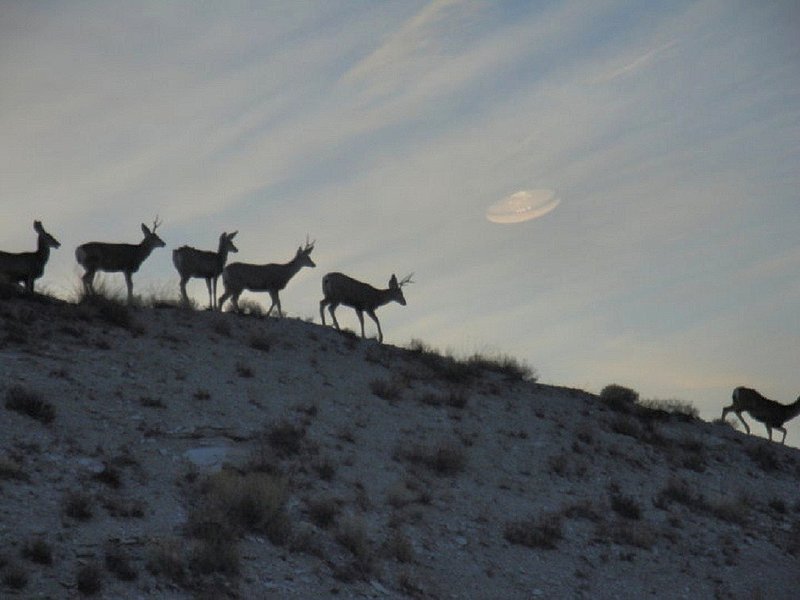 ......2009 GREEN RIVER WYOMING--MUFON 26766.jpg :: T