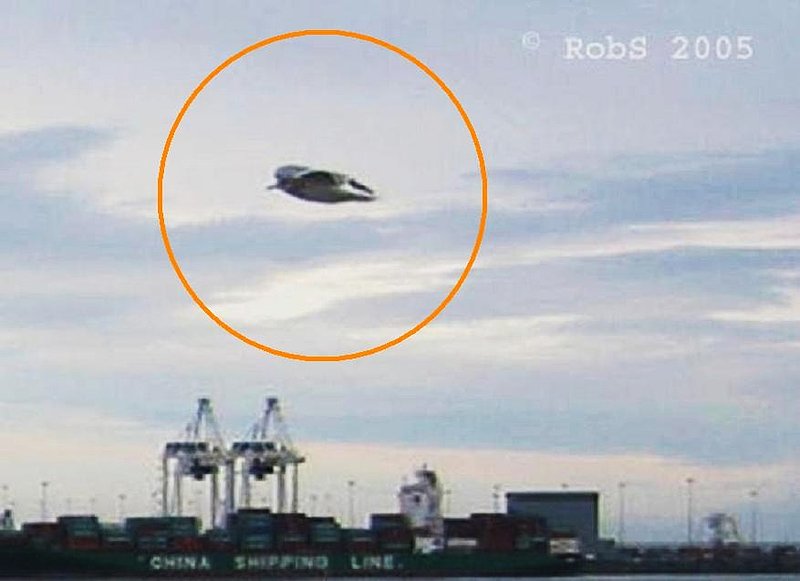....11-25-05 VANCOUVER ISLAND CANADA--UFO CASE BOOK--COPYRIGHT ON PICTURE.jpg :: R