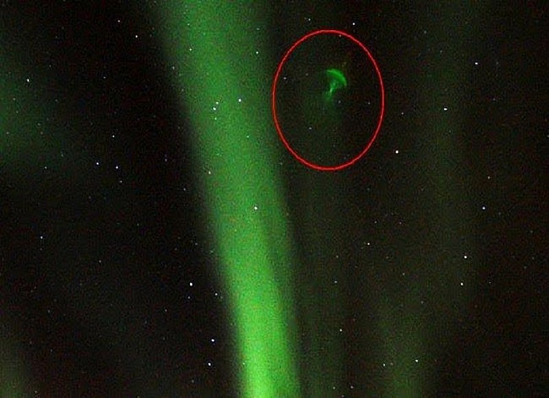1-20-10 ANDENES NORWAY--ARNE MIKALSEN--UFO CASE BOOK FRINGE.jpg :: ZZ