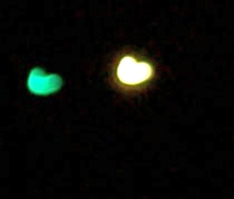 1-21-12 FONTANA CALIFORNIA--UFOSNW.jpg :: 5