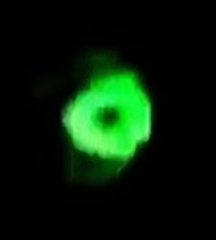 1-22-23 EARTH ORBIT -SKY SHIPS OVER CASHIERS-2.jpg