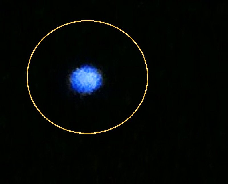 1-7-12 MIAMI FLORIDA--MUFON 34718.jpg :: 4