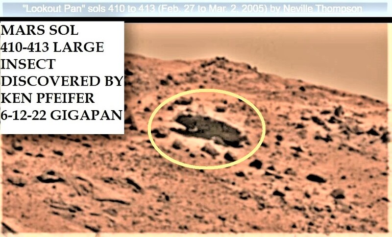 1-MARS SOL 410-413 LARGE INSECT DISCOVERED BY KEN PFEIFER 6-12-22 GIGAPAN.jpg