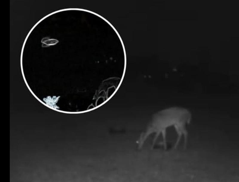 10-13-21 ORLANDO FLORIDA--FACEBOOK(1).jpg