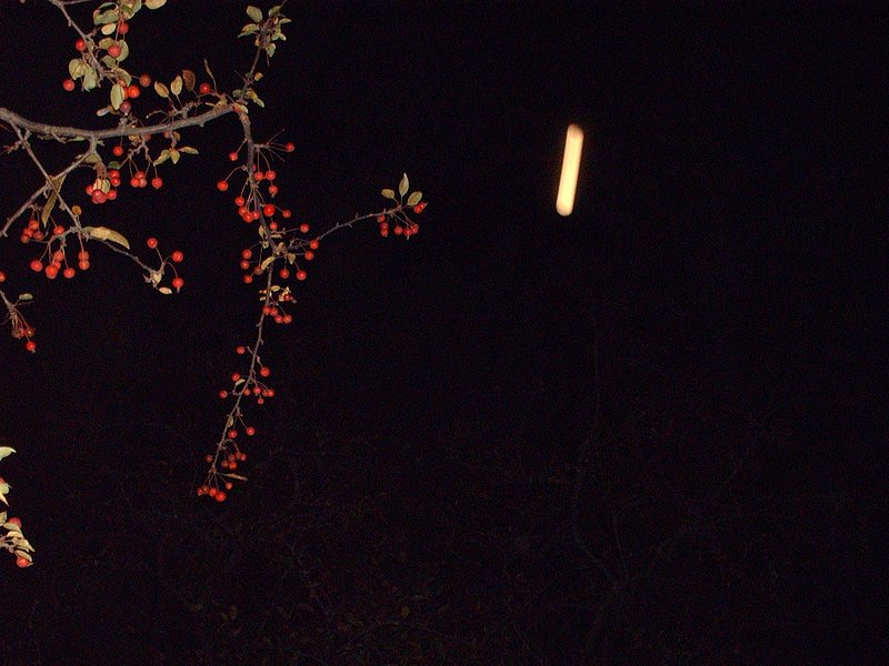 10-15-08 LONDON  ONTARIO  CANADA--MUFON 13211.jpg :: G