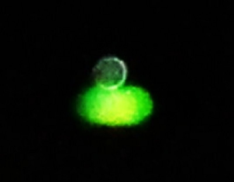 10-3-11 MIAMI FLORIDA--UFOSNW.jpg :: YY