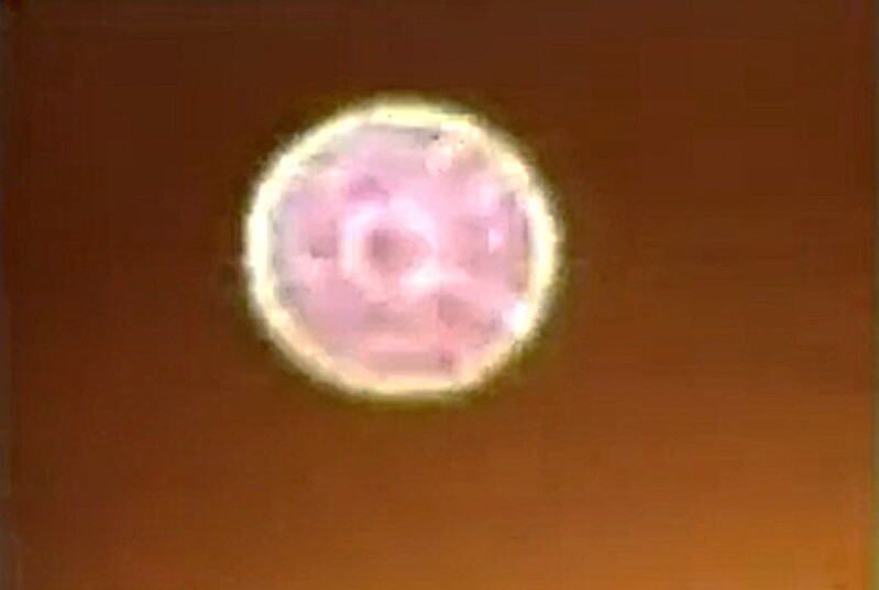 10-5-2000   DERBYSHIRE ENGLAND--UFO CASEBOOKCOM.jpg