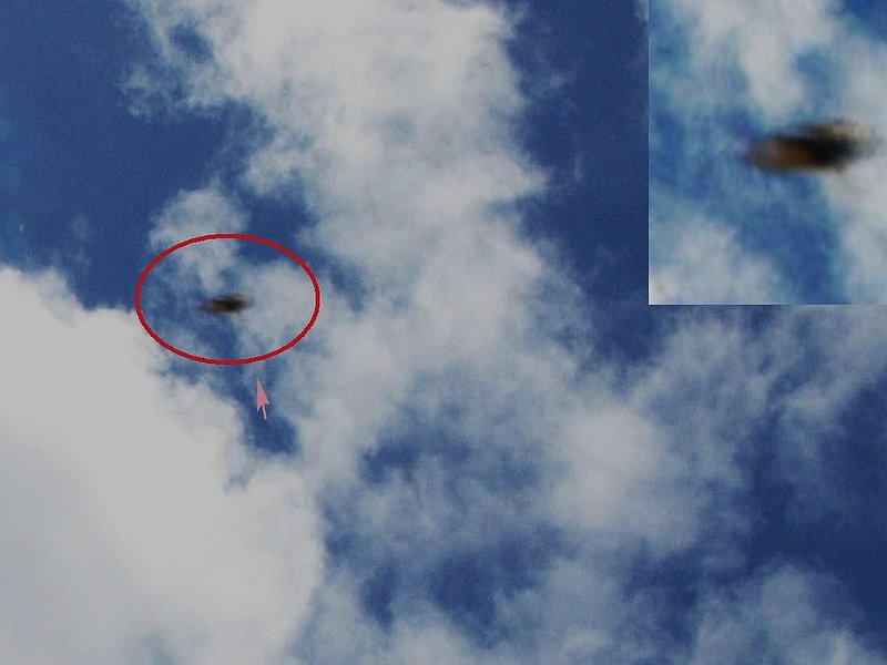 11-20-09 AUCKLAND NEW ZEALAND--MUFON 21079.jpg ::         6                       