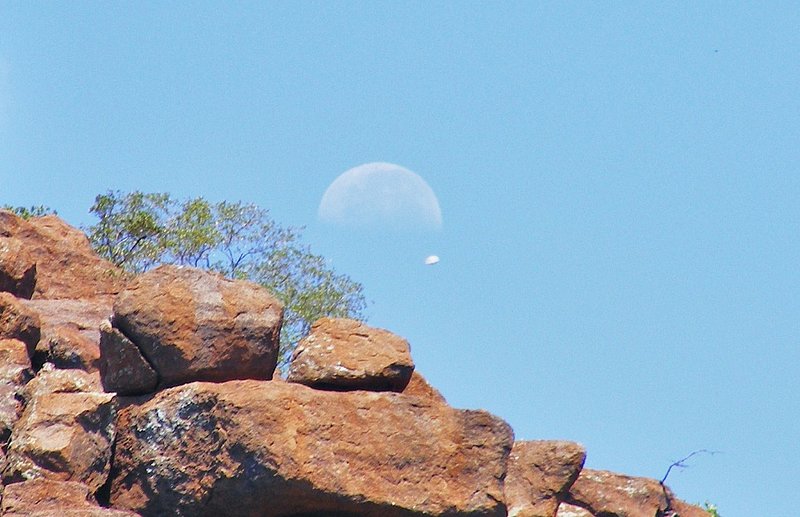 11-28-10 PILANESBERG SOUTH AFRICA--MUFON 26786.jpg :: 6