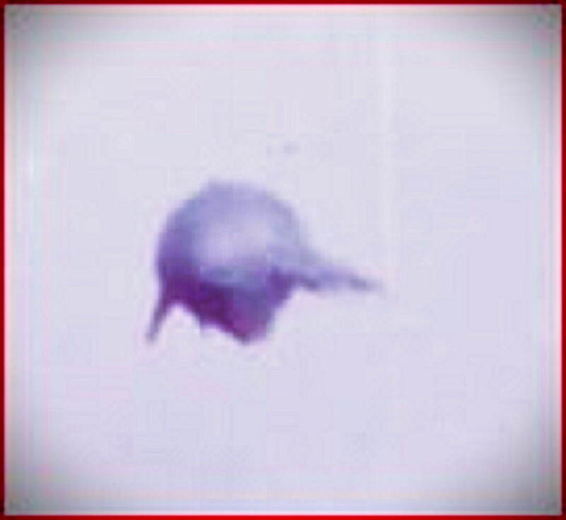 11-3-73 COCOYOC MEXICO(1).jpg