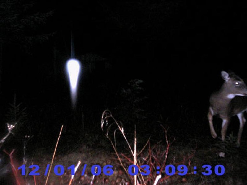12-1-06 PERTH-ANDOVER NEW BRUNSWICK CANADA--UFOSNW.COM.jpg :: x