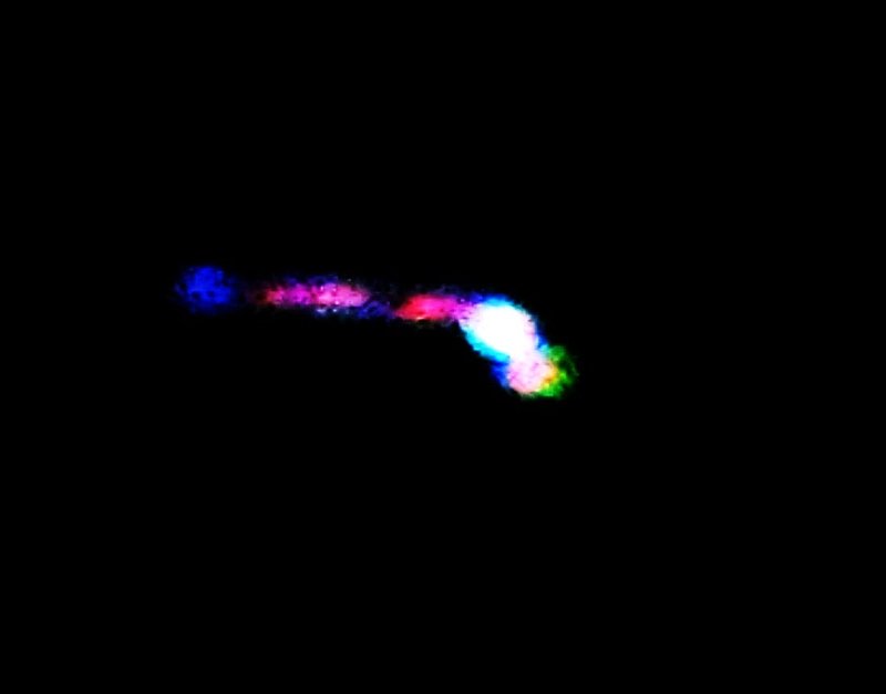 12-18-07   GEORGETOWN ALABAMA--MUFON  PIC 2.jpg :: X