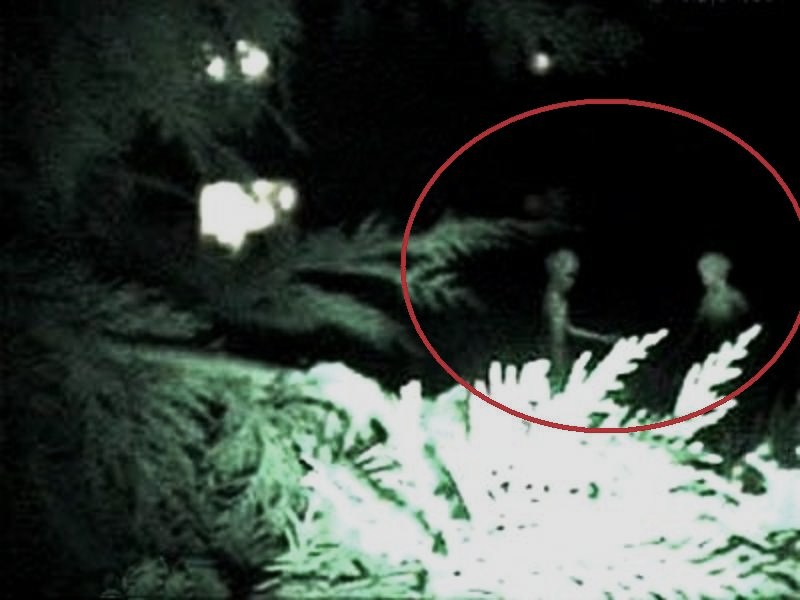 1999 LONDON ENGLAND--ALIENS--UFO CASEBOOK PIC 2.jpg :: J