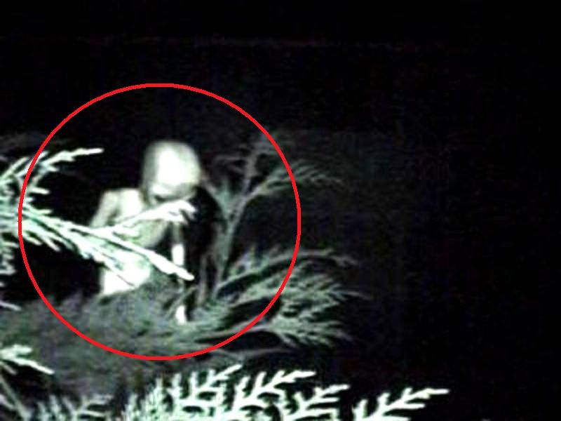 1999 LONDON ENGLAND--ALIENS--UFO CASEBOOK PIC 3.jpg :: J