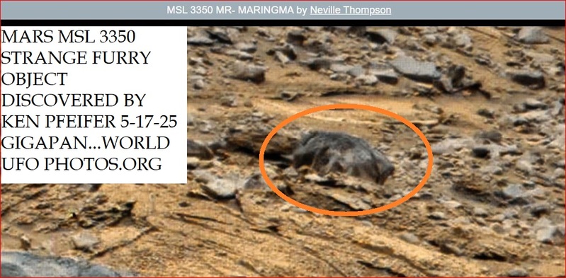 1A Z21 MARS MSL 3350 STRANGE OBJECT DISCOVERED BY KEN PFEIFER 5-17-25 GIGAPAN-22   TOP--2.jpg