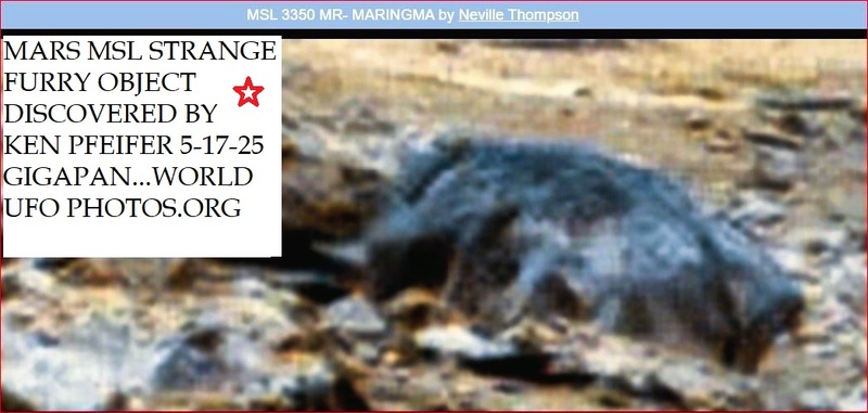 1A Z21 MARS MSL 3350 STRANGE OBJECT DISCOVERED BY KEN PFEIFER 5-17-25 GIGAPAN-22   TOP.jpg