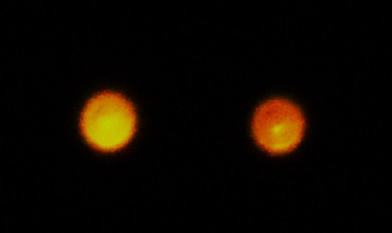 2-16-10 VERNON LAKE LOUISIANA--MUFON 21908.jpg :: J