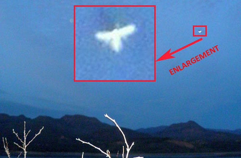 2-17-12 LAKE ROOSEVELT ARIZONA--UFOSNW.jpg :: 6