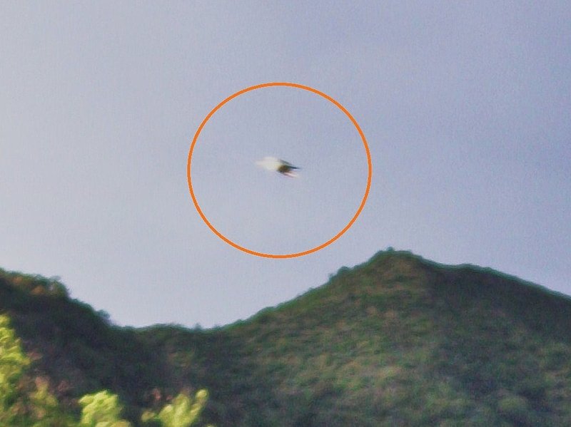 2-22-11 URITORCO ARGENTINA--MUFON 34784--PIC 2.jpg :: 4