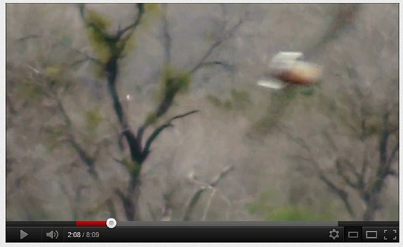 2-8-12 SAN ANTONIO TEXAS--PAMELA GARCIA PHOTOGRAPHER--PIC 1.jpg :: 5