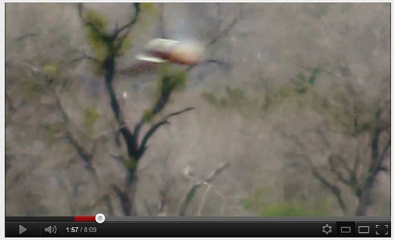 2-8-12 SAN ANTONIO TEXAS--PAMELA GARCIA PHOTOGRAPHER--PIC 2.jpg :: 5