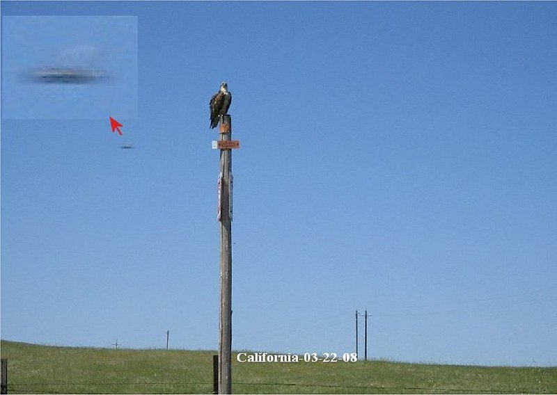 3-22-08 CALIFORNIA--MUFON--UFO CASE BOOK--nc.jpg :: YY