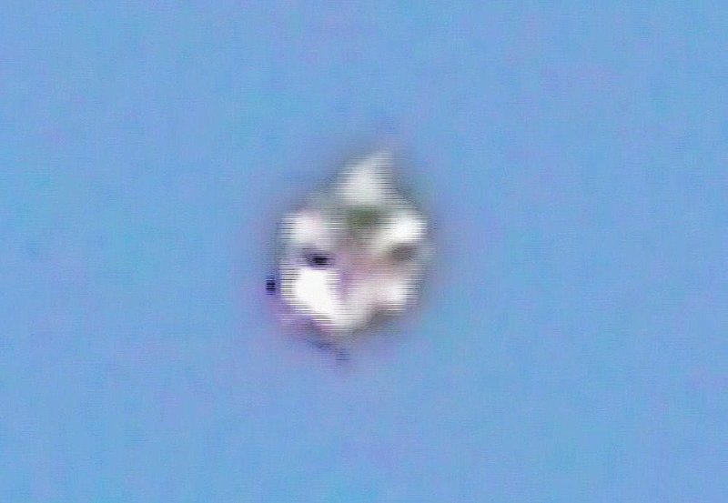 4-1-10 SAN JOSE CALIFORNIA--MUFON 28541--pic 2...MORFING OBJECT..jpg :: YY