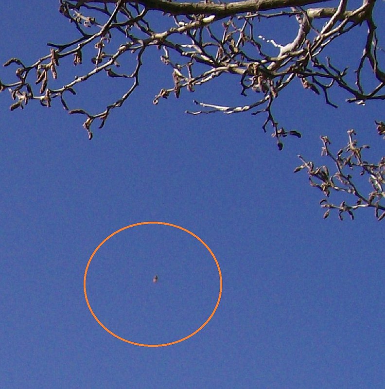 4-14-12 COTTONWOOD CALIFORNIA--WORLD UFO PHOTO-- VENIS BOATNER PHOTOGRAPHER.jpg :: 6