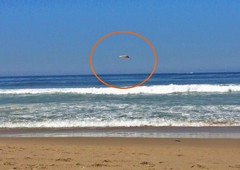 4-17-12 LOS ANGELES COUNTY CALIFORNIA--MUFON 37549.jpg :: 6