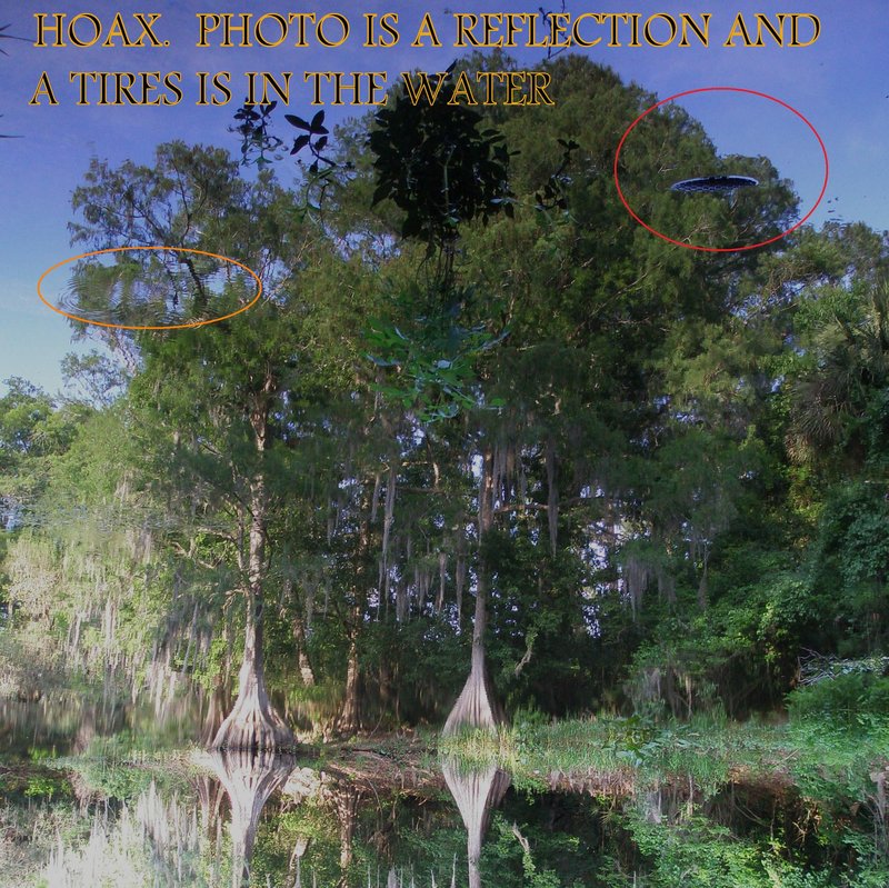 4-25-10 HAWTHORNE FLORIDA--MUFON 22978..1.jpg :: J