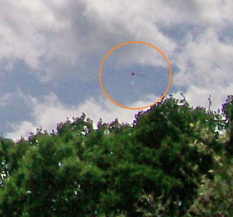 4-30-12 COTTONWOOD CALIFORINA--VENIS BOATNER PHOTOGRAPHER--PIC 5.jpg :: 6