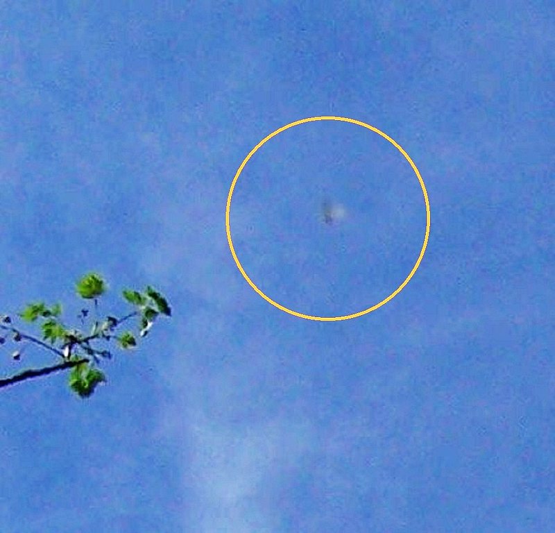 4-30-12 COTTONWOOD CALIFORNIA--VENIS BOATNER PHOTOGRAPHER--PIC 3.jpg :: 6