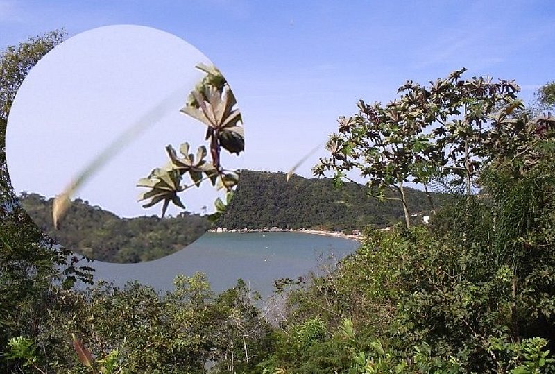 4-5-08  SANTA CATARINA BRAZIL--UFO CASE BOOK.jpg :: YY