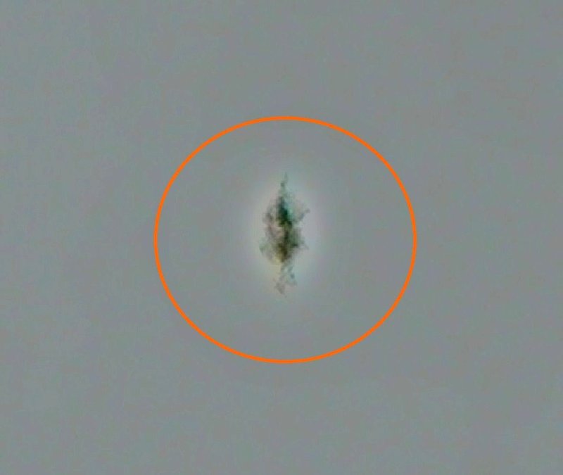 4-7-11 ADAMS COUNTY PENNSYLVANIA--MUFON 30350.jpg :: 711