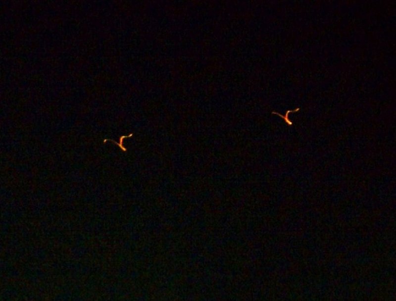 4-7-12 CHICO CALIFORNIA--MUFON 37192--PIC 2.jpg :: 6