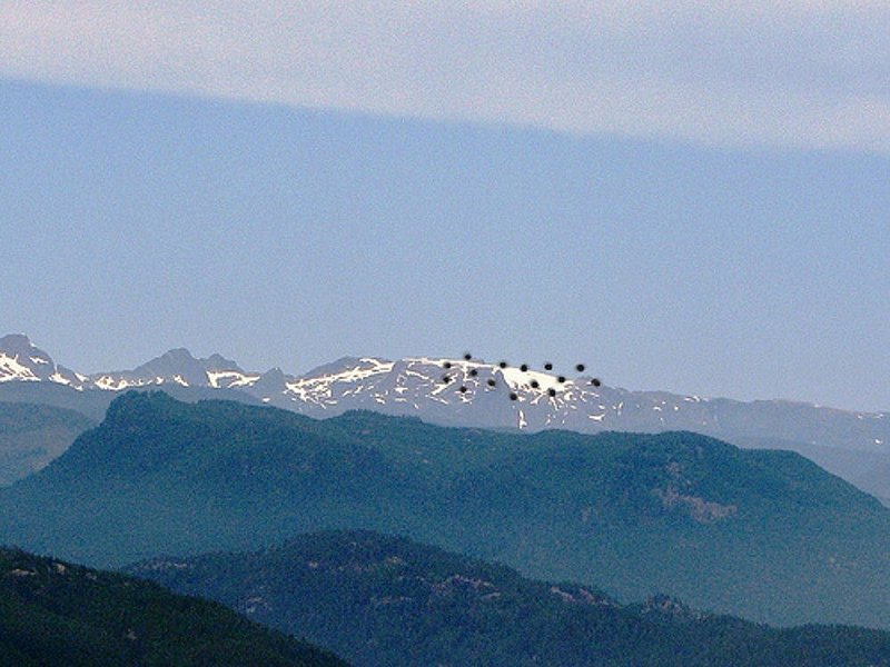 5-1-98 PORT ALBERNI ALBERTA CANADA--MUFON 30437.jpg :: 711
