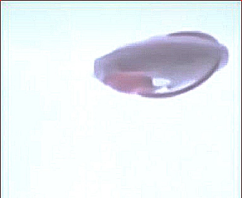 5-2-25 ST PERPETERSBURG RUSSIA--FACEBOOM.jpg